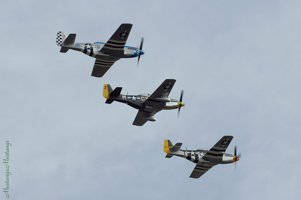 49.20-44-74506-back in USA