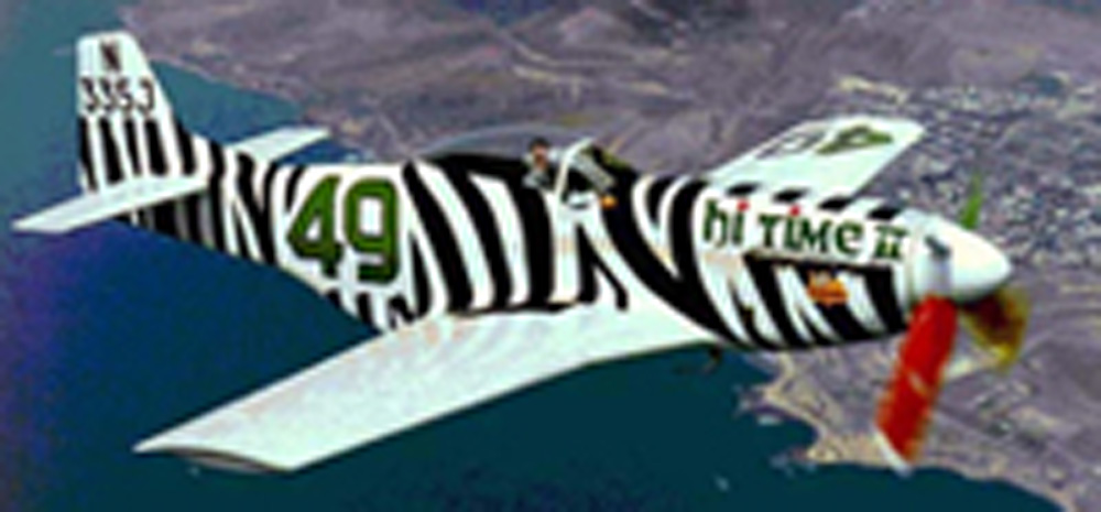 49.7-66-_Zebra crop200