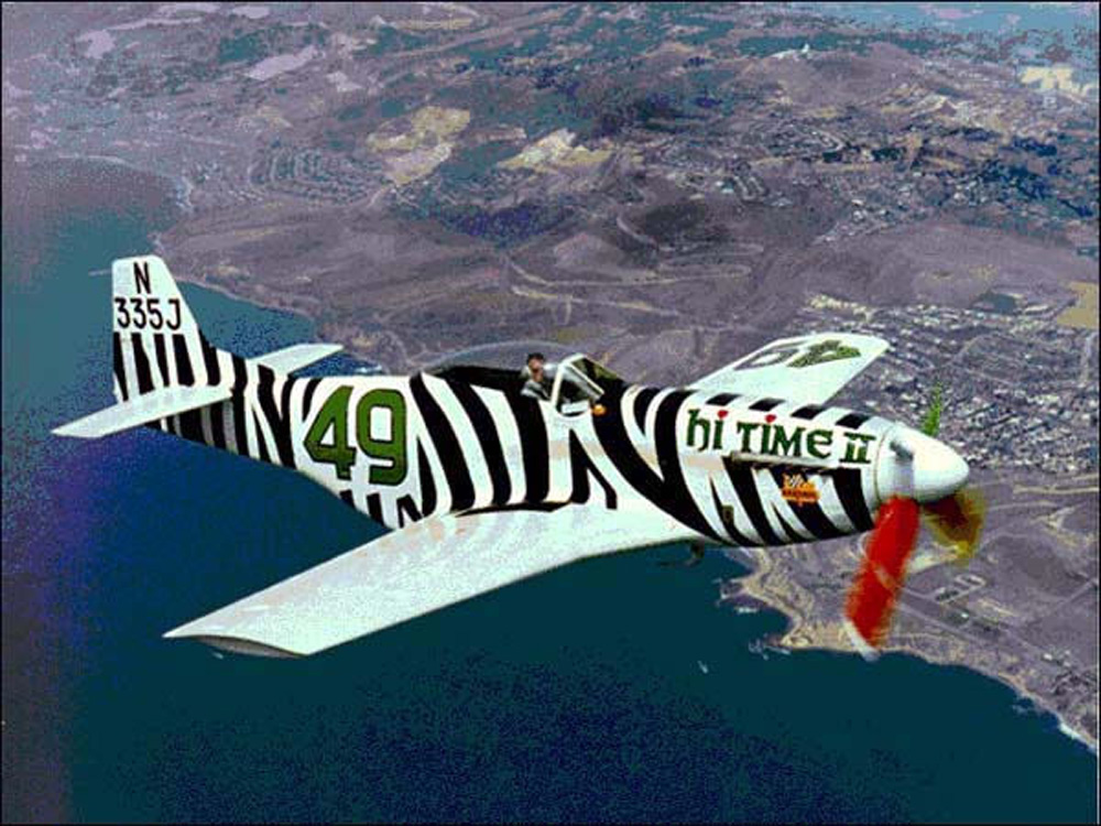 49.7-66-__-Zebra_jpg