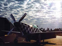 19991006-FGK-SunnyP51-1