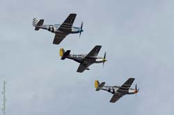 49.20-44-74506-back in USA